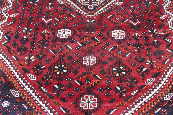 Persian Shiraz Qashqai Rug 245 × 137 cm – Handmade Tribal Wool Rug