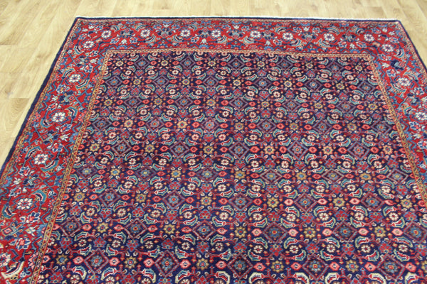 Persian Tabriz Carpet 317 × 204 cm – Herati Design Hand-Knotted Wool Rug